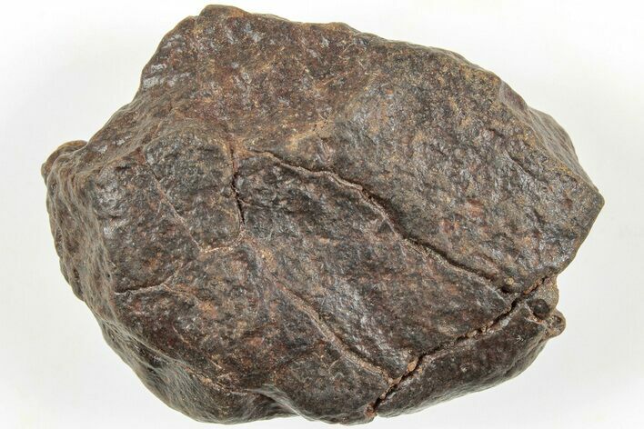 Chondrite Meteorite ( g) - Western Sahara Desert #233207